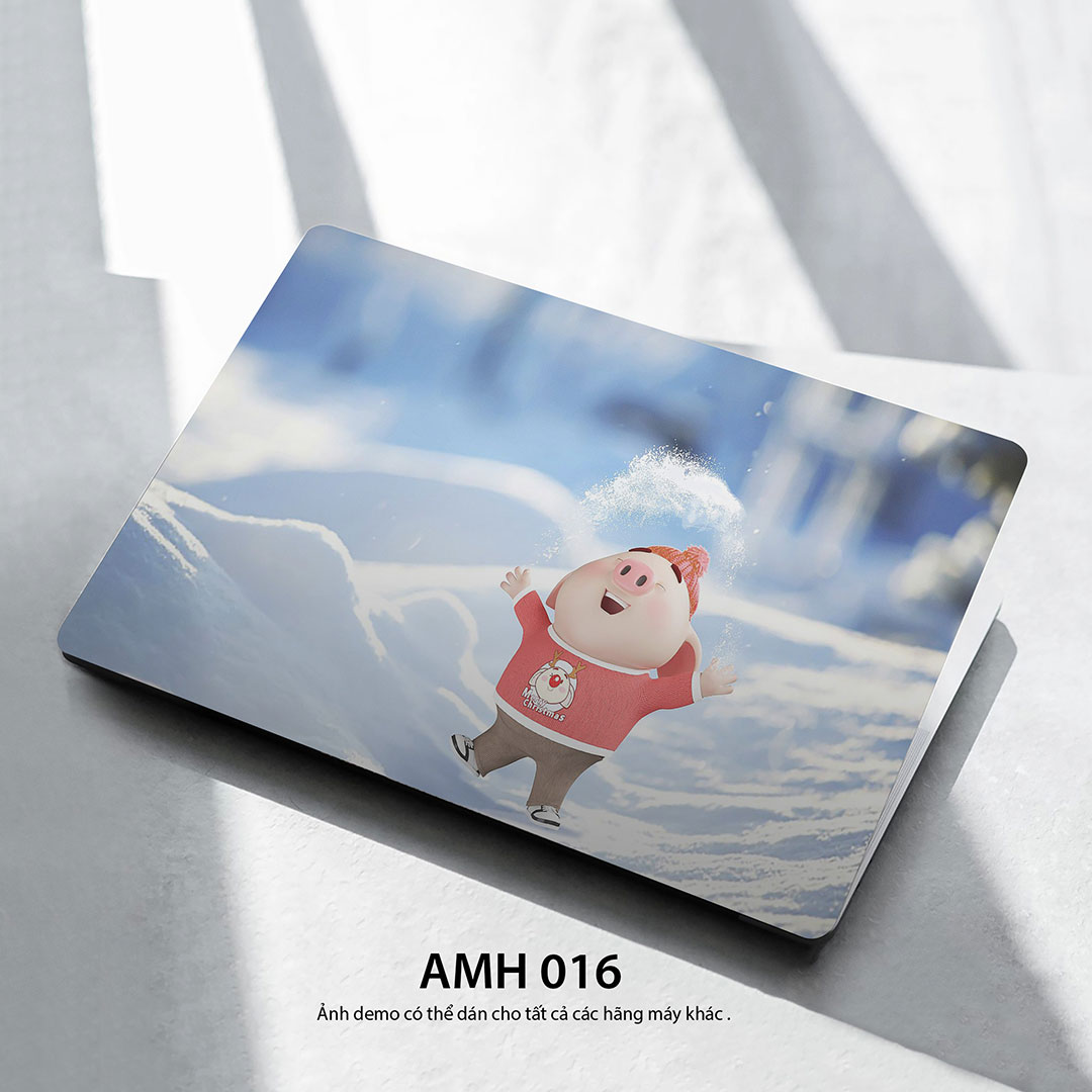 Amh 016c Amh 016c