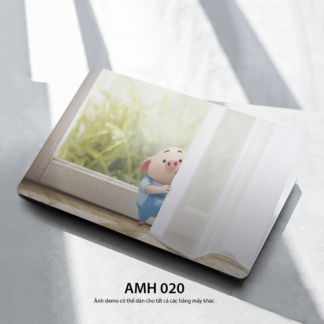 Amh 020c Amh 020c