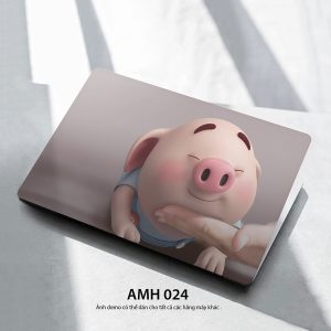 Amh 024c