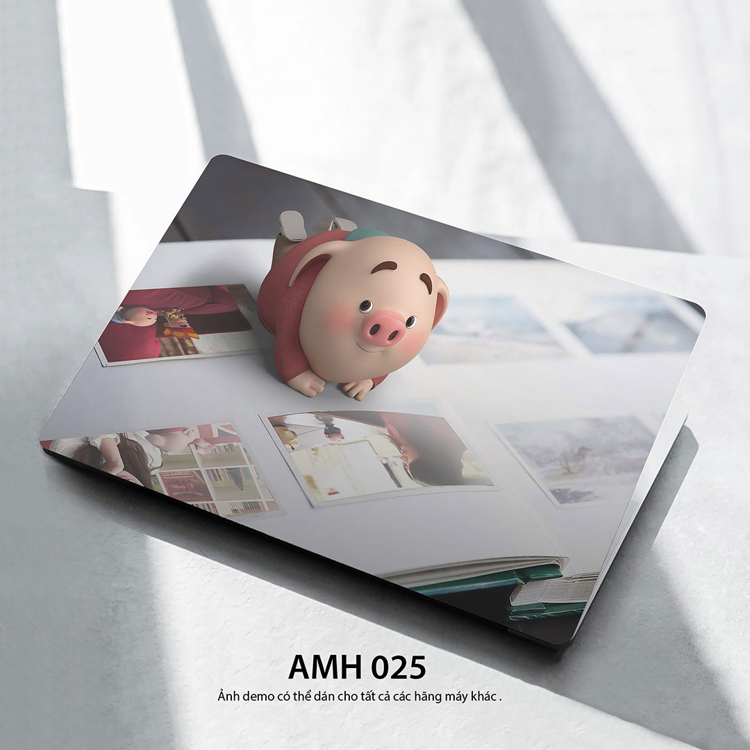 Amh 025c Amh 025c