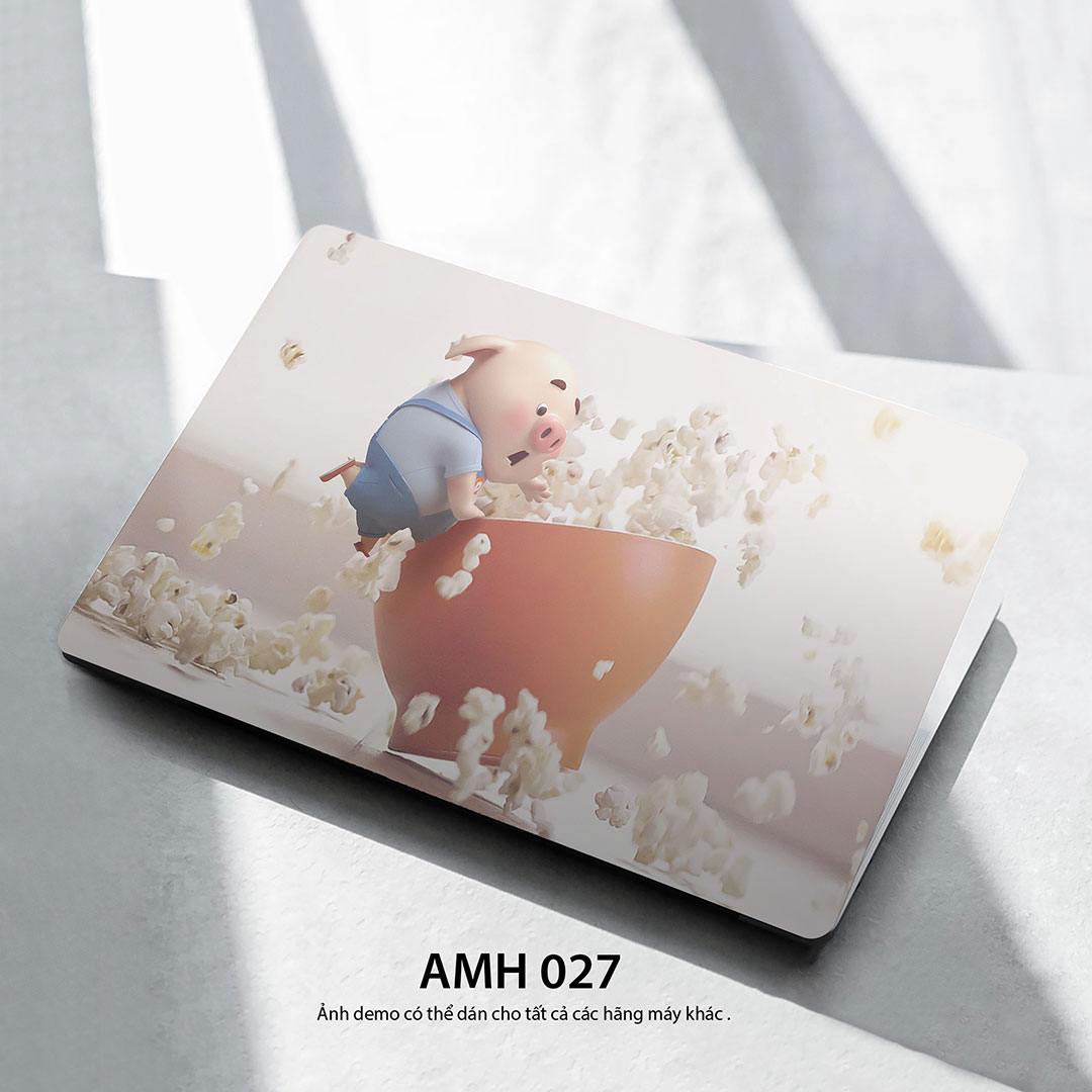 Amh 027c Amh 027c
