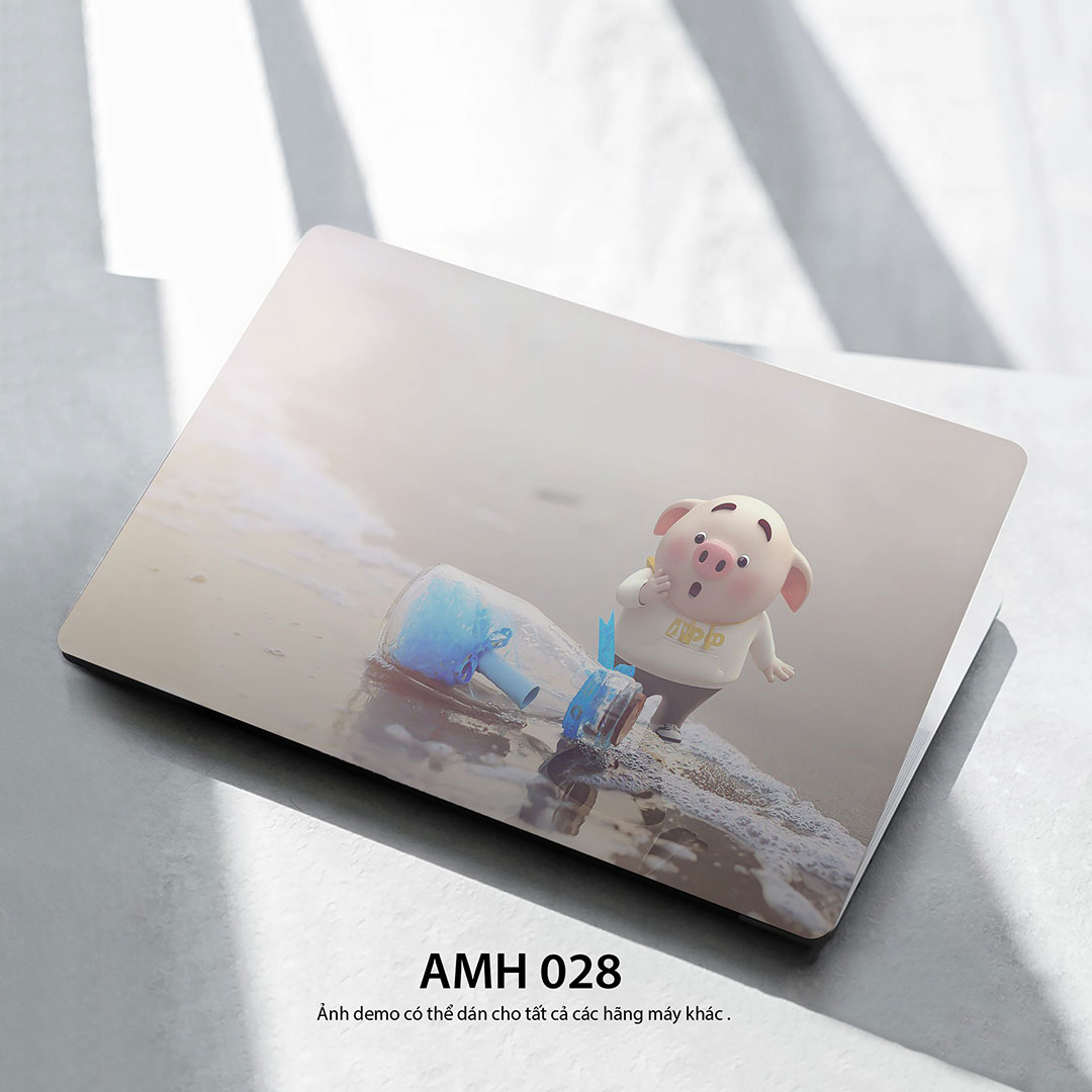 Amh 028c Amh 028c