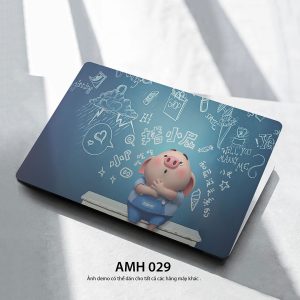 Amh 029c