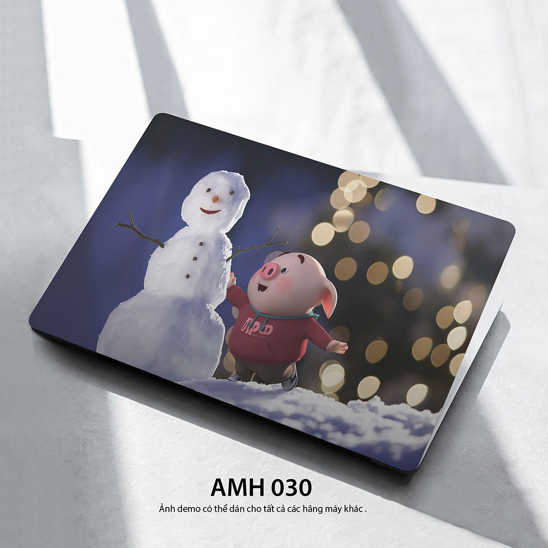 Amh 030c Amh 030c
