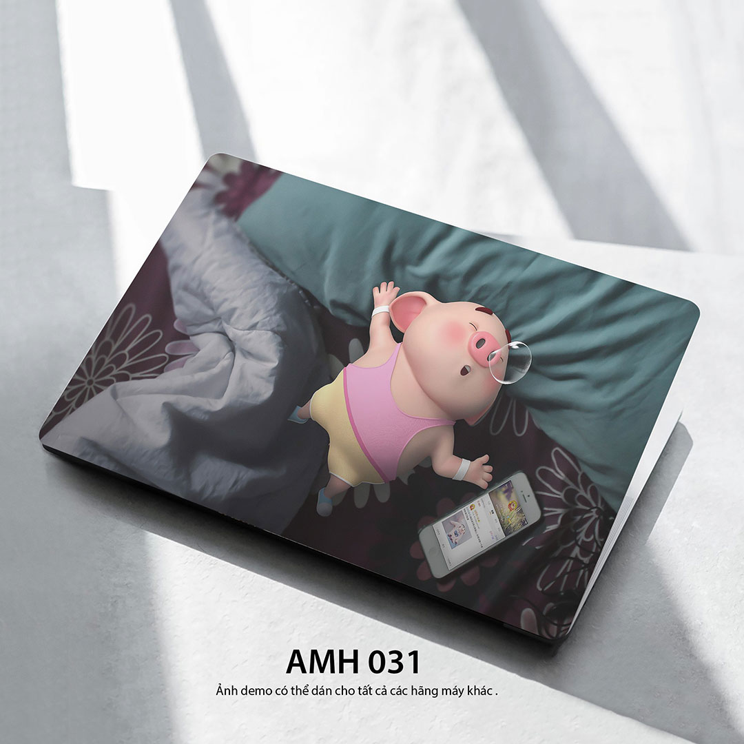 Amh 031c Amh 031c