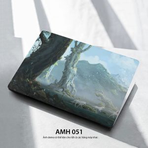 Amh 051c