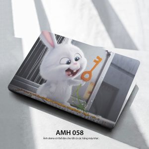 Amh 058c