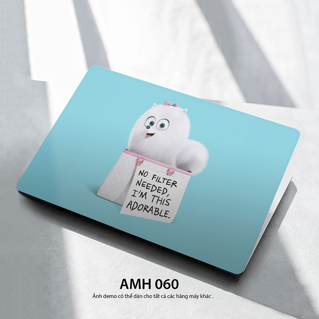 Amh 060c Amh 060c