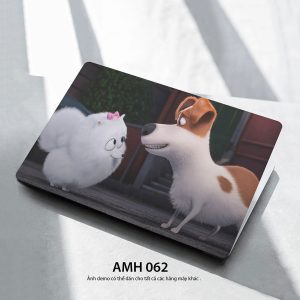 Amh 062c
