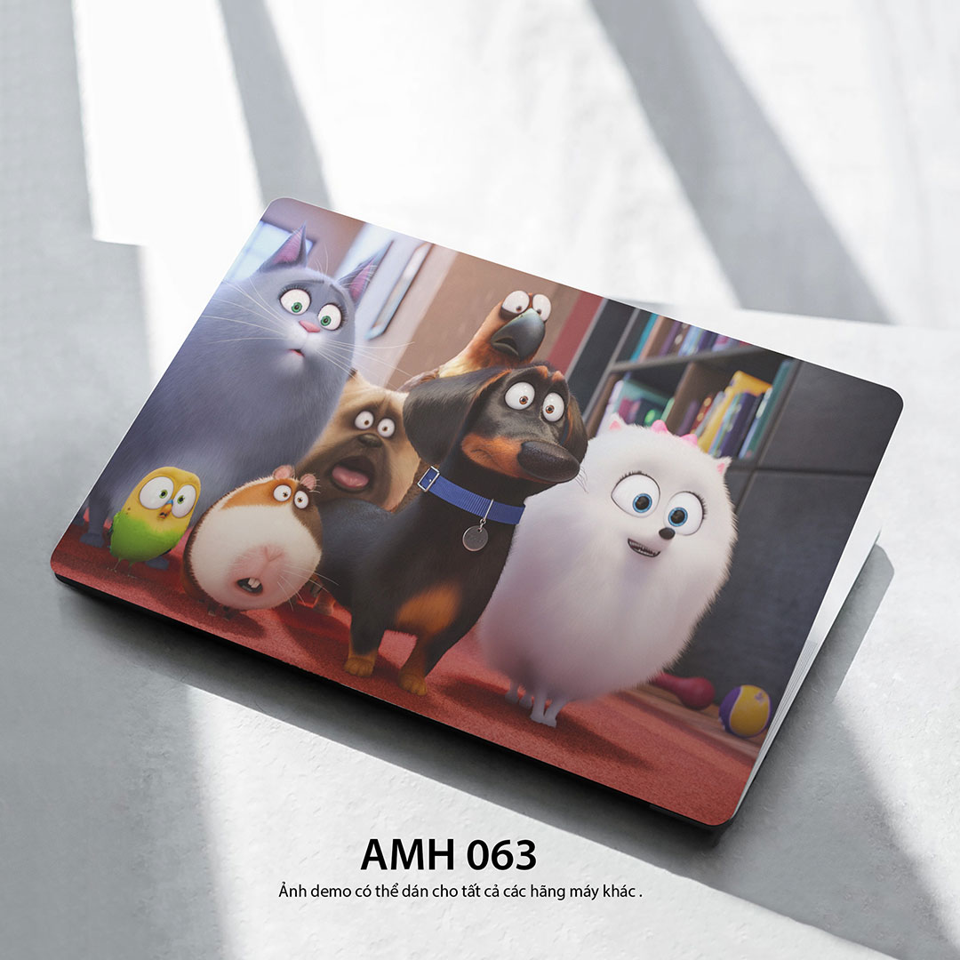 Amh 063c Amh 063c