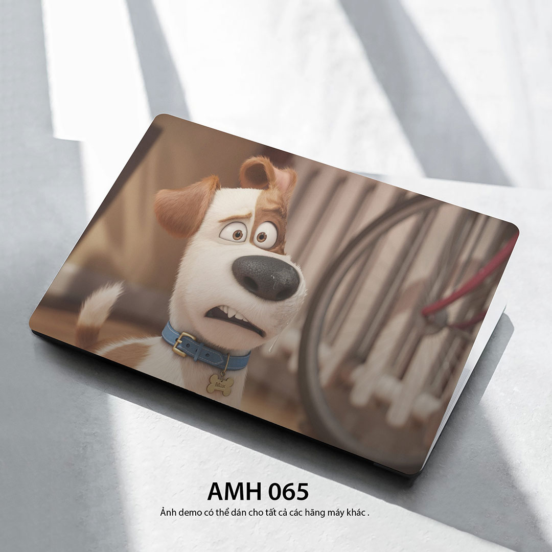 Amh 065c Amh 065c