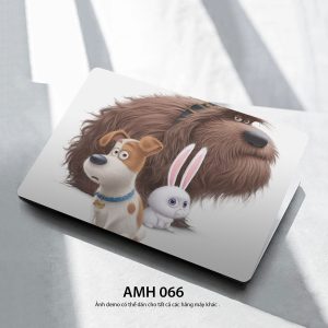Amh 066c