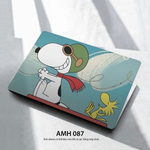 Amh 087c