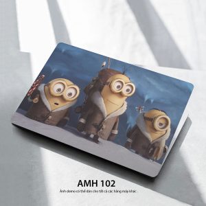 Amh 102c