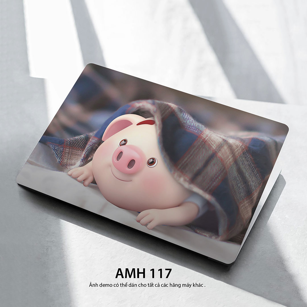 Amh 117c Amh 117c