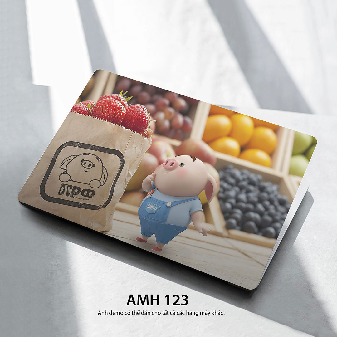 Amh 123c Amh 123c