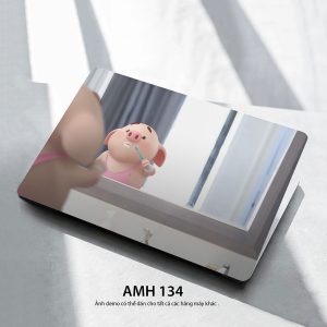 Amh 134c