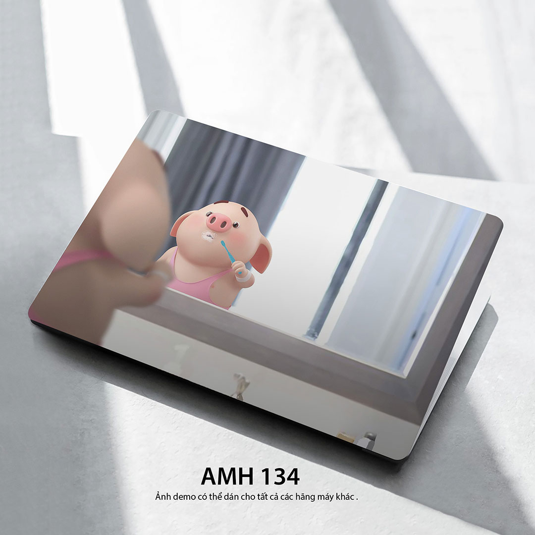 Amh 134c Amh 134c