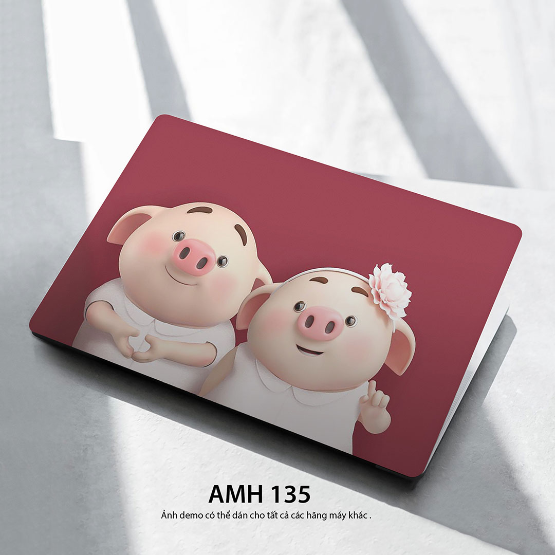 Amh 135c Amh 135c