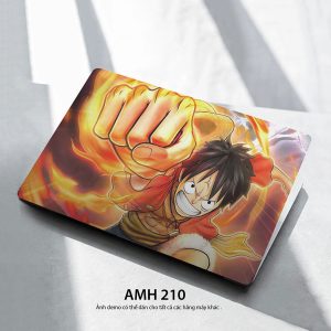 Amh 210c