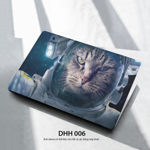 Dhh 006c