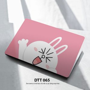 Dtt 065c