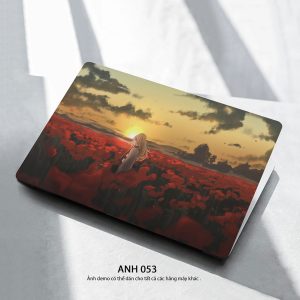 Anh 053c