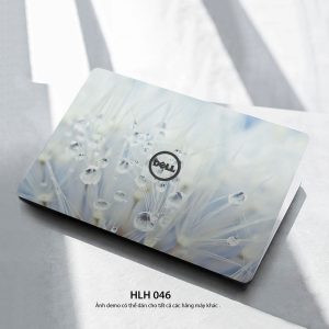 Hlh 046c